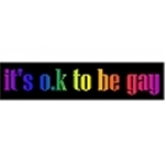  סטיקר its ok to be gay